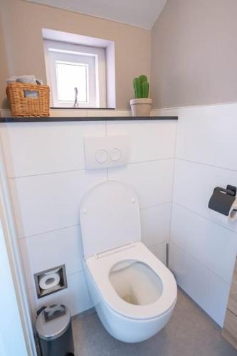 a small bathroom with a toilet and a window at Thuis in Sauwerd in Sauwerd