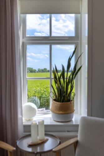 a window with a potted plant and candles on a table at Thuis in Sauwerd in Sauwerd