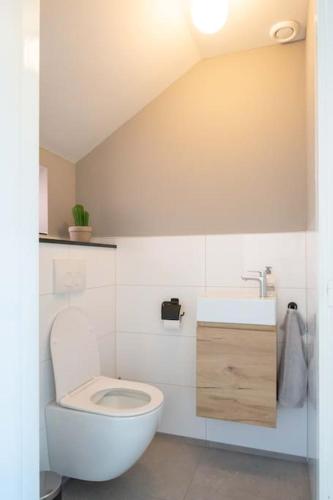 a white bathroom with a toilet and a sink at Thuis in Sauwerd in Sauwerd