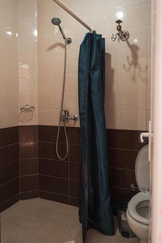 a bathroom with a shower and a toilet at Nargiz's Guest House in Batumi