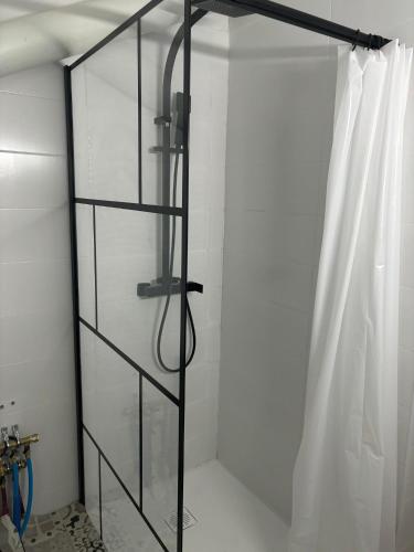 une douche avec une porte vitrée dans une salle de bain dans l'établissement el apartamento de julia, à Carcassonne