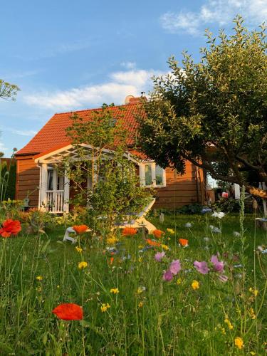 Storchenwiese Wald Meer Natur