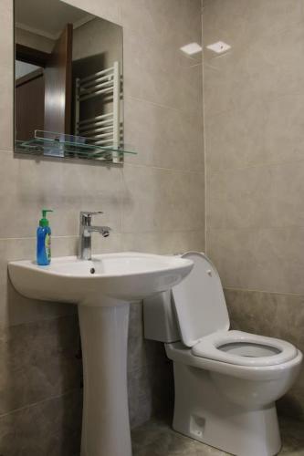 a bathroom with a sink and a toilet and a mirror at Guesthouse Evergreen in Oni