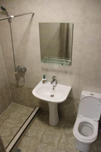 a bathroom with a sink and a toilet and a mirror at Guesthouse Evergreen in Oni