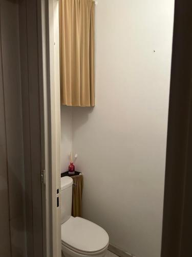 ムードンにあるAppartement 2chambres 1salon 58m carré , Medon proche de parisのトイレとシャワーカーテン付きのバスルーム