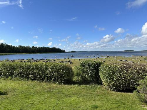 a herd of animals grazing in a field next to a body of water at House and guest house with sauna by the sea in Närpiö