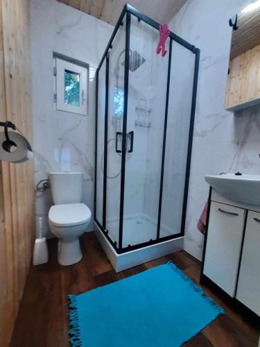 a bathroom with a shower with a toilet and a sink at Urlopownia-Domki z Indywidulanym Ogrodzeniem-Dogfriendly-Duży,Zielony Teren in Gąski