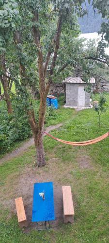 Κήπος έξω από το Guesthouse Lizi & Elene