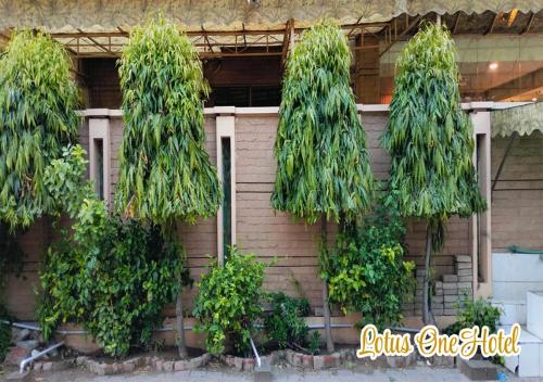 a group of trees on the side of a building at Lotus One Hotel in Lahore