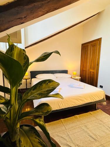トリノにあるHOUSE with TERRACEのベッドルーム1室(前面に植物が植えられたベッド1台付)