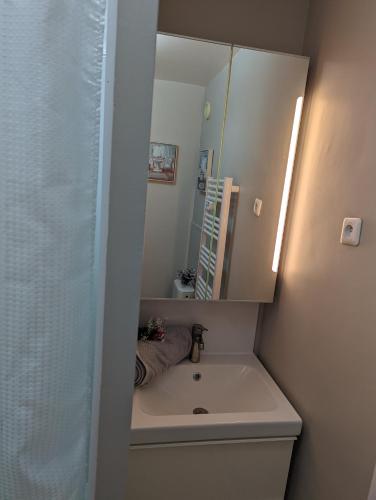 une salle de bain avec un lavabo et un miroir dans l'établissement Charming Studio with Eiffel View, à Paris
