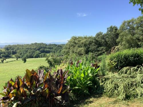 a garden with plants and trees in a field at Le Petit Jardin in Estampes