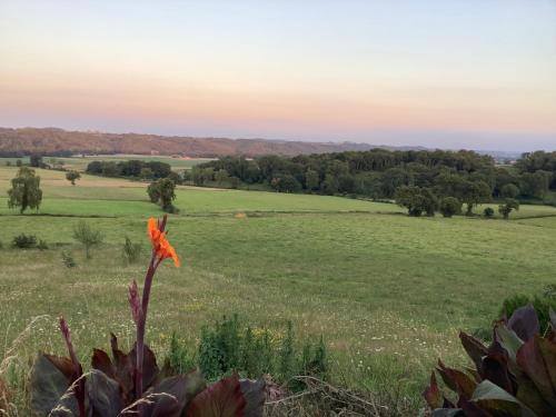 a view of a field with a flower in the foreground at Le Petit Jardin in Estampes