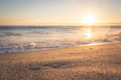 a beach with the sun rising over the ocean at Vakantie-Ouddorp in Ouddorp