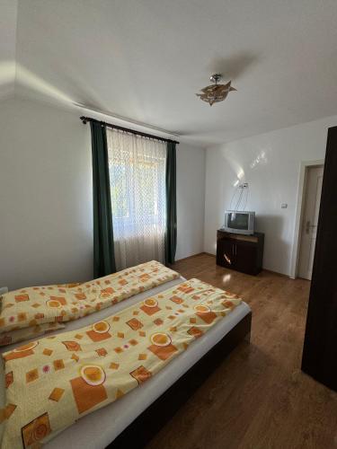 a bedroom with a bed and a television in it at Casa Jeremiás in Sovata