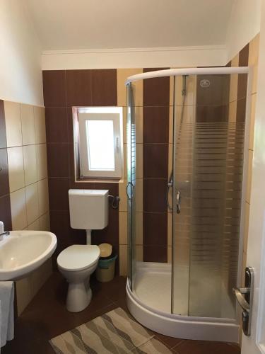 a bathroom with a shower and a toilet and a sink at Casa Jeremiás in Sovata