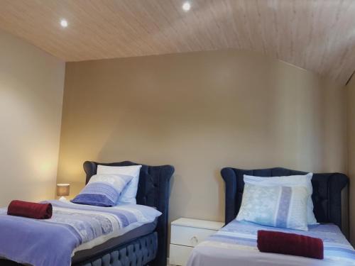 two beds sitting next to each other in a bedroom at Nazareth logement Un Magnifique logement de vacances in Bastogne