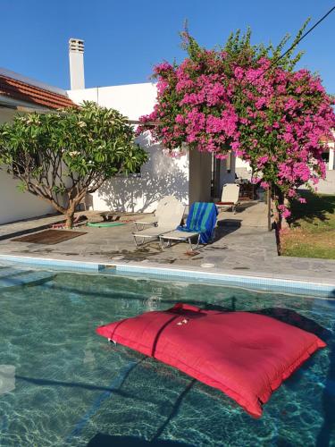 Villa Frangipani with large private pool, Rhodes