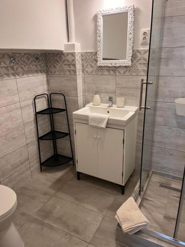 a bathroom with a shower and a sink and a mirror at Pacsirta Apartmanház in Eger