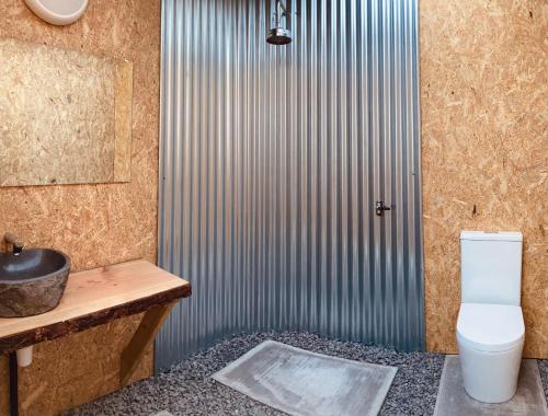 a bathroom with a shower with a toilet and a sink at The Rounds in Pembrokeshire