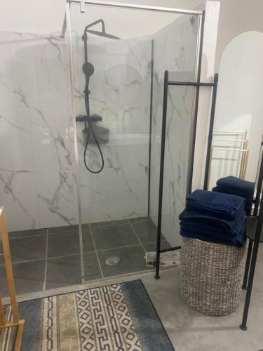 une douche avec une porte vitrée dans une salle de bain dans l'établissement Logement atypique, à Volckerinckhove