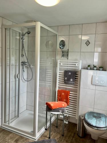 a bathroom with a shower and a chair and a toilet at Chalet Berghaus Rusch in Blaichach
