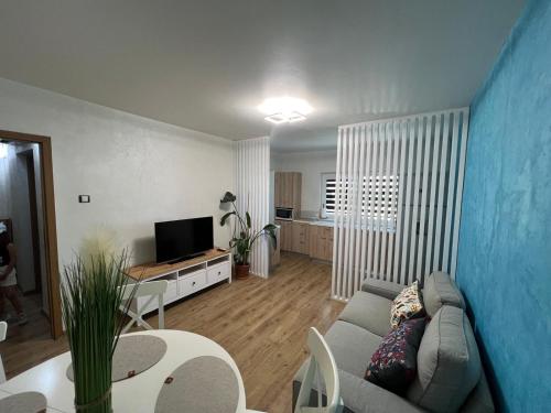 a living room with a couch and a tv at Miva Apartments in Mangalia
