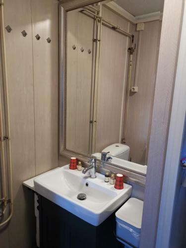 a bathroom with a sink and a mirror and a toilet at Mooiste Stekkie in Zeyen