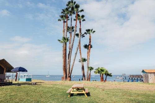 a picnic table on the beach with palm trees at White’s Landing Catalina Camp in Avalon