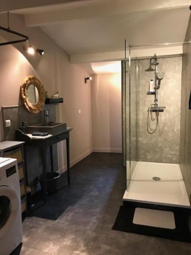 une salle de bain avec douche et lavabo dans l'établissement Le refuge, à Lesparre-Médoc