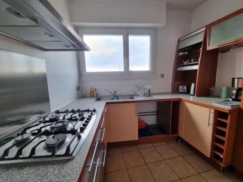 Il comprend une cuisine équipée d'une cuisinière. four supérieur à côté d'un évier dans l'établissement Appartement Dunkerque Centre Théâtre, à Dunkerque