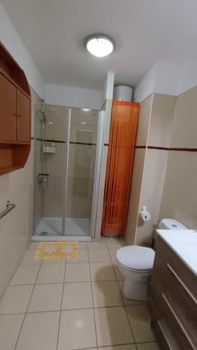 a bathroom with a shower and a toilet at Apartamento Candelaria vivienda vacacional in Candelaria