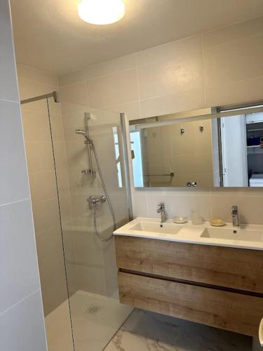 une salle de bain avec douche et lavabo dans l'établissement Appartement vue mer Sainte Maxime, à Sainte-Maxime