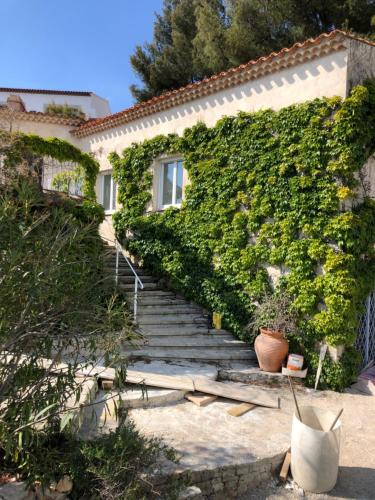 un escalier menant à un bâtiment recouvert de lierre dans l'établissement Magnifique villa vue mer et piscine, à Bandol