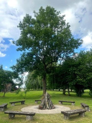 Taman di luar Viesu nams “Bauļi”