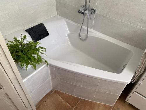 a white bath tub in a bathroom with a plant at Starman in Cazorla