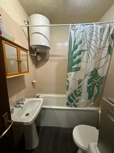 une salle de bain avec un lavabo et un rideau de douche dans l'établissement La petite Maison de TITI, à Borgo