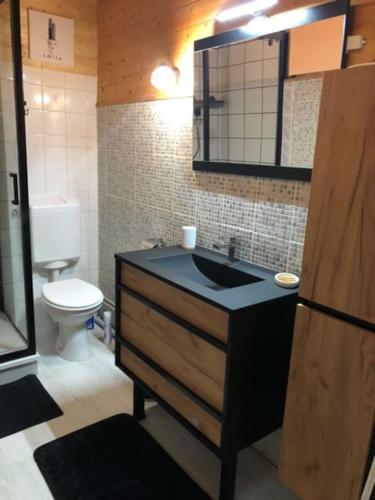 une salle de bain avec un lavabo et des toilettes dans l'établissement Appartement, à Ax-les-Thermes