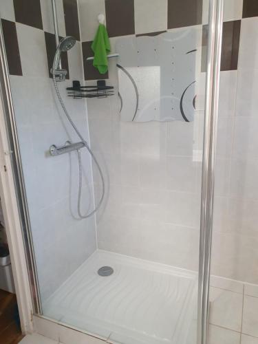 a shower with a glass door in a bathroom at La Maison du Druide in Bonneuil-en-Valois