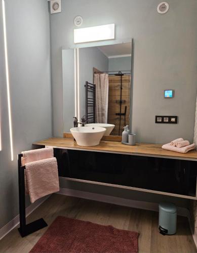 a bathroom with a sink and a mirror at Lazy Olives in Tongeren