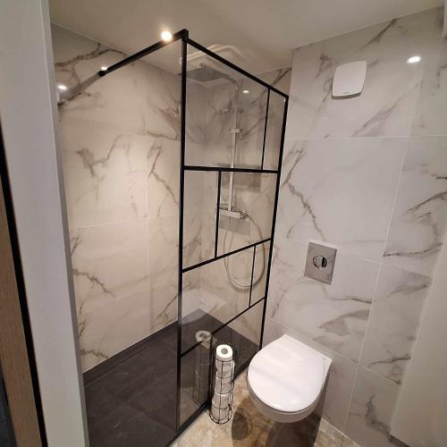 une salle de bain avec toilettes et douche en verre dans l'établissement Studio calme proche centre-ville, à Cholet