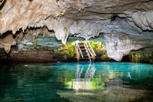 a ladder in a cave with a pool of water at Hotel Casa Tortuga Tulum - Cenotes Park Inclusive in Tulum
