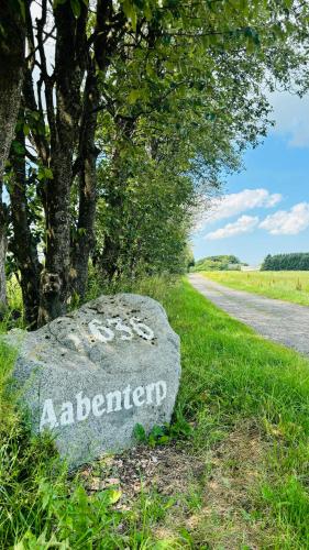 a rock in the grass next to a road at Aabenterp in Vrå