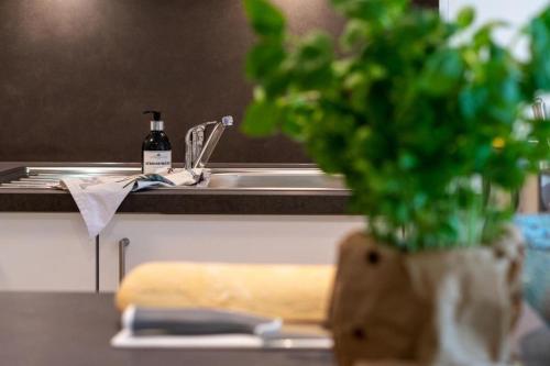 Φωτογραφία από το άλμπουμ του Haus-Schwanensee-Wohnung-5 σε Bosau