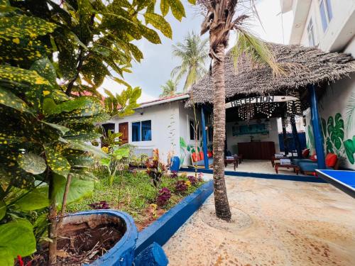 a house with a palm tree in front of it at Nungwi Beach Front in Nungwi
