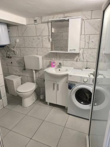 a bathroom with a toilet sink and a washing machine at Apartment Krasici in Krašići