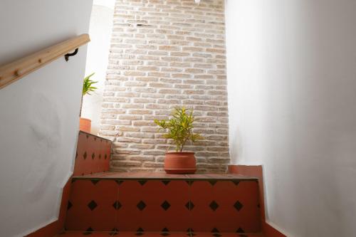 a room with a brick wall and two potted plants at Dar Sekka in Tangier