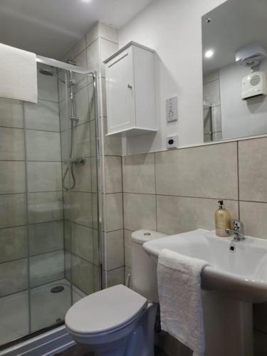 a bathroom with a toilet and a shower and a sink at Contractors l FreeParking l Station l Students in Colchester