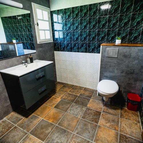 a bathroom with a toilet and a sink and a mirror at La Campierelle in Salazie