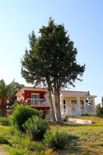 a house with a tree in front of it at Mediterranean Blue in Kavos